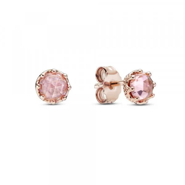 Pink Sparkling Crown Stud Earrings 